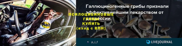 спиды Нефтекумск