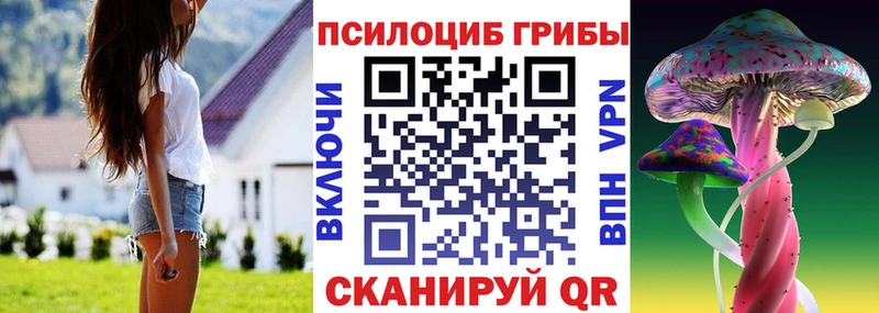 Галлюциногенные грибы мухоморы  где можно купить наркотик  Бавлы 