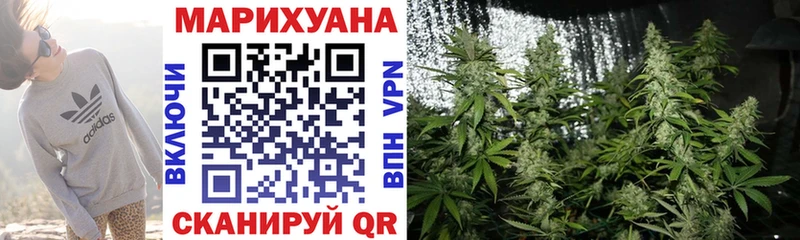 Шишки марихуана Amnesia  цены   Бавлы 